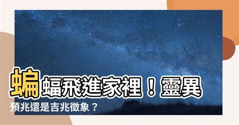 蟬 飛進家裡|【蟬飛進家裏】蟬飛進家裏對家居風水有何影響？